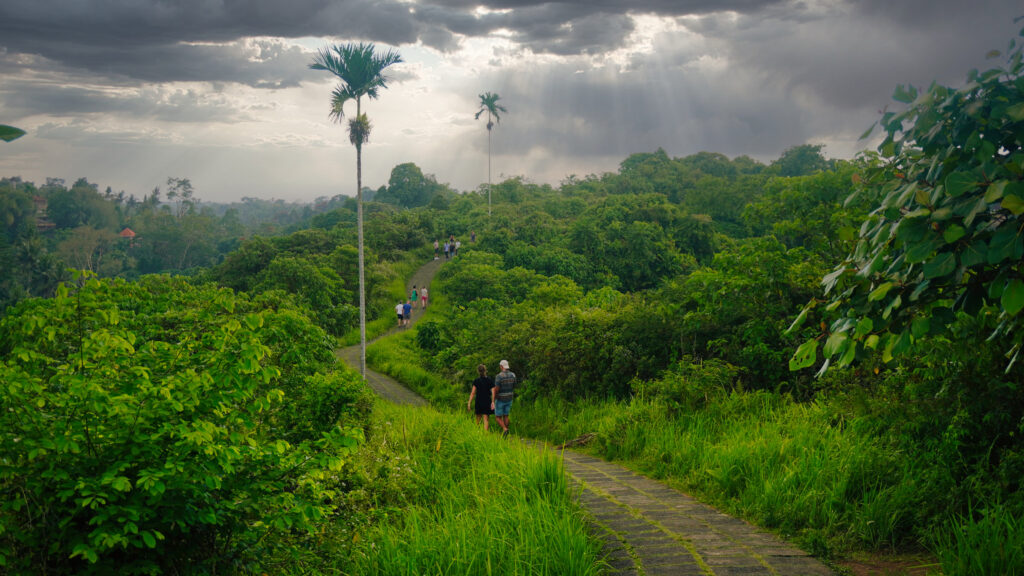 Campuhan Ridge Walk wandern in Ubud