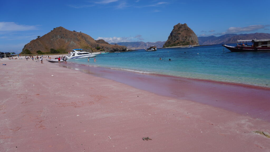 Pink Beach im Komodo Nationalpark bei Flores